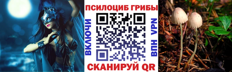 Галлюциногенные грибы Psilocybine cubensis  Щёлкино 