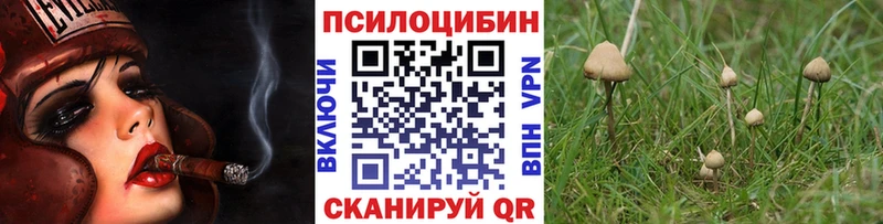 Псилоцибиновые грибы Psilocybe Щёлкино